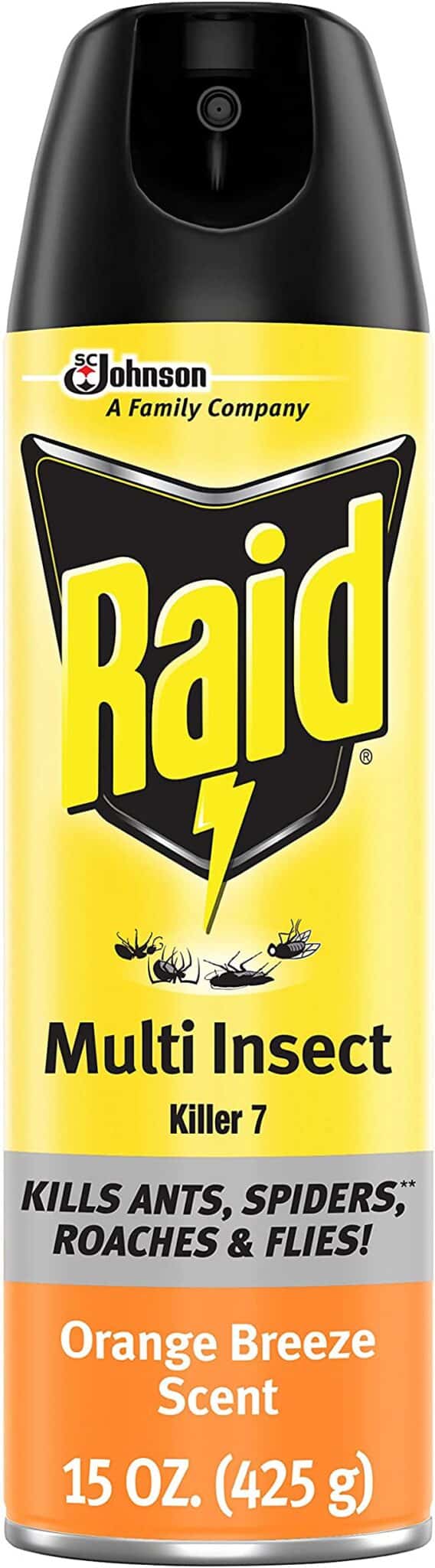 Raid Multi Insect Killer Logo